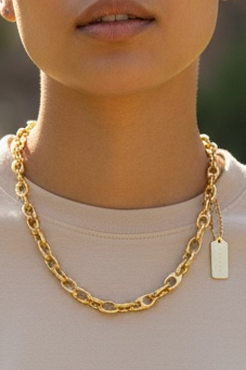 COACH SCULPTED LINK BRACELET/NECK CHAIN NEW TAGGED.